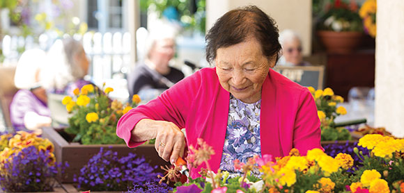 elderly woman tending to flowers in a garden box